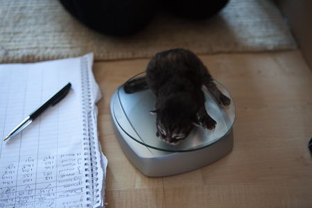 week1deel2-3.jpg