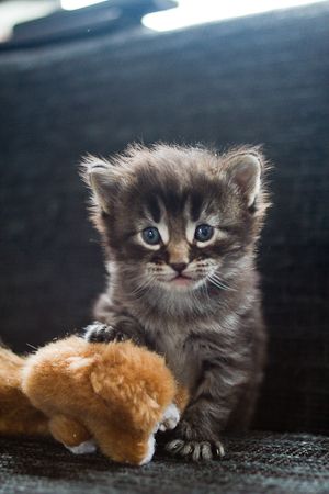 week4-24.jpg
