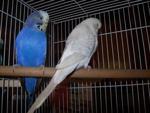 100_0782.jpg