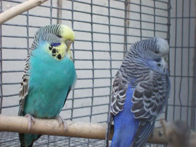 100_1301.jpg