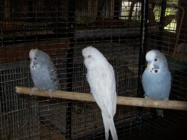 100_1317.jpg