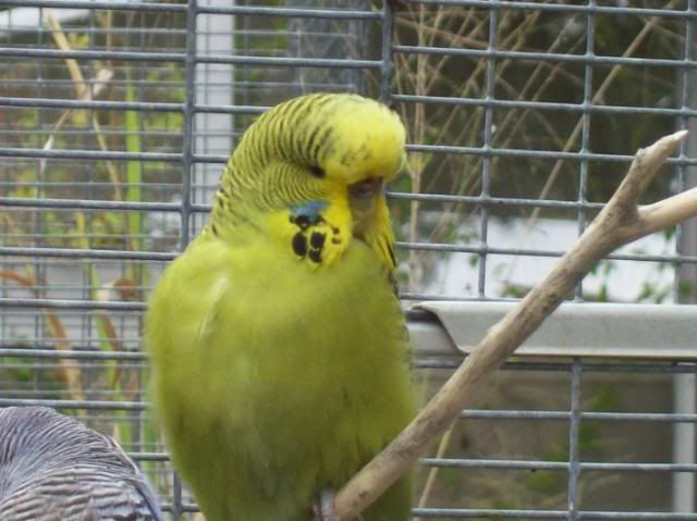 100_1375.jpg