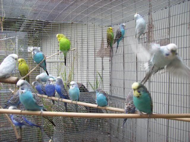 100_1414.jpg