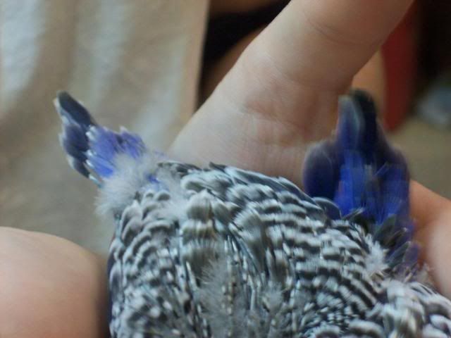100_0564.jpg