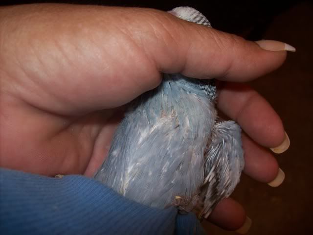 100_0770.jpg