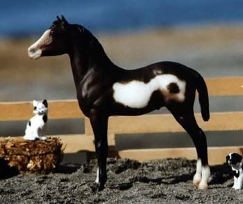 Frame Paint Horse