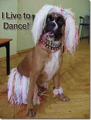 dance-dog.jpg