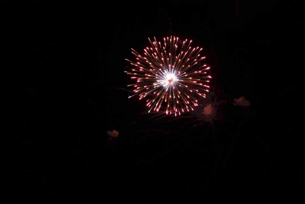 fireworks gif animated. Animated Fireworks 2