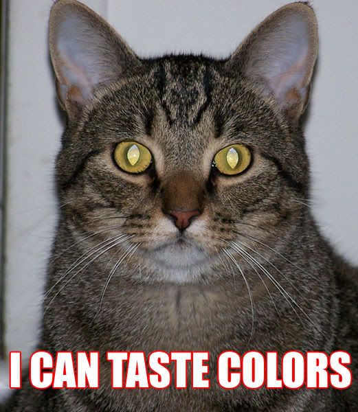 I Taste Colors
