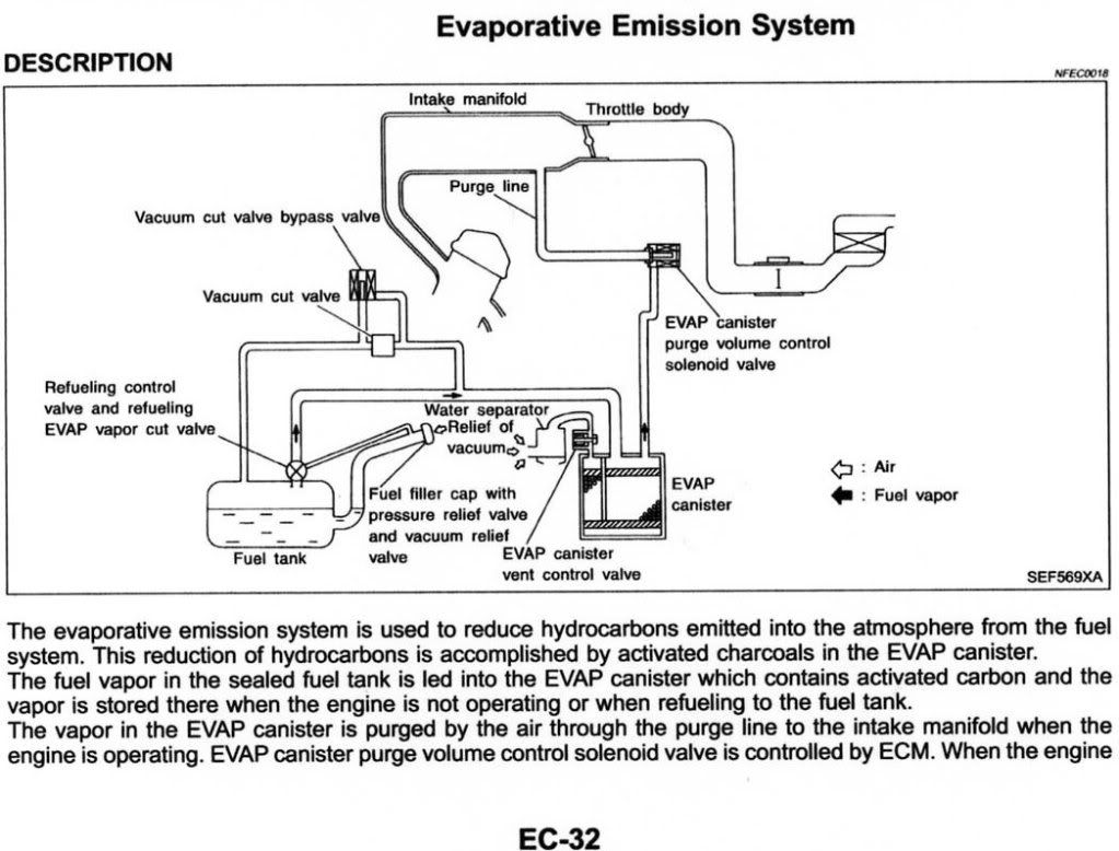 2001 Nissan maxima evap system #5