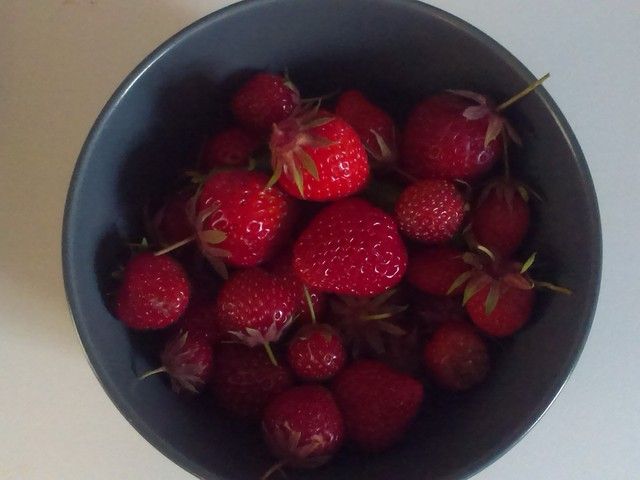 2016-06-17%2019.04.50.jpg