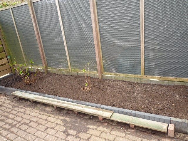 P1080149640x480.jpg