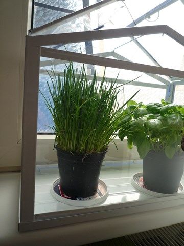 P1080217640x480.jpg