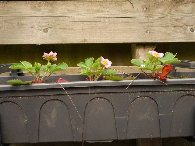 P1080293640x480.jpg