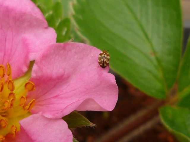 P1080295640x480.jpg