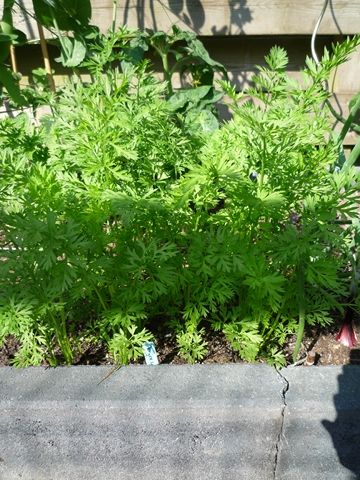 P1080458640x480.jpg
