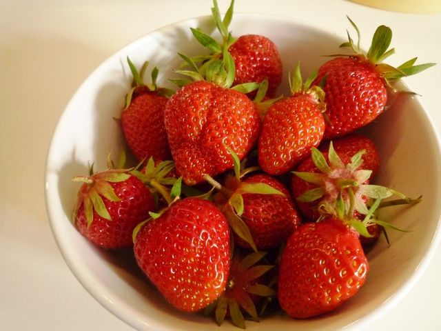 P1100199_1.jpg
