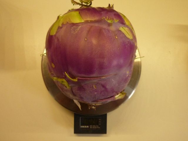 P1100280.jpg