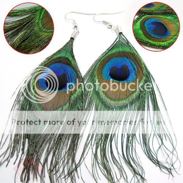 HOT 1 x Multicolor Peacock Pendant Necklace Chain KxlQ  