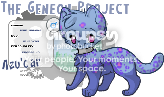 User Image