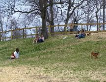 DogPark.jpg