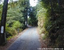 Road1.jpg